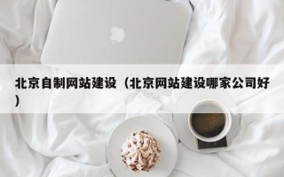 长葛北京自制网站建设（北京网站建设哪家公司好）